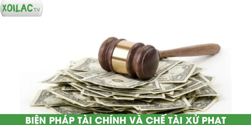 bien-phap-tai-chinh-va-che-tai-xu-phat